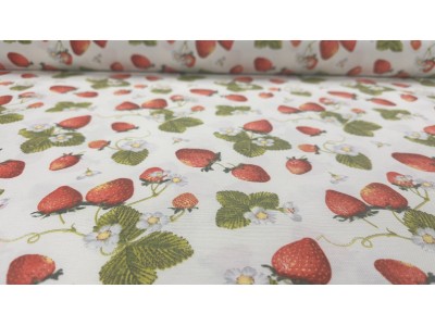 130533 - 01  Хидрофобиран плат  с ягодки ма кремава основа