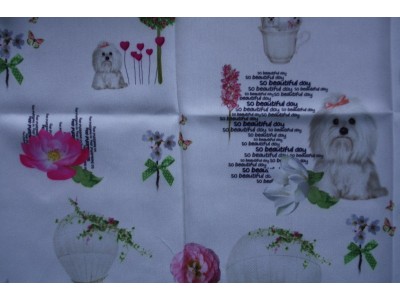 DG1024 - 1A Завеса с болонка - зелено и розово