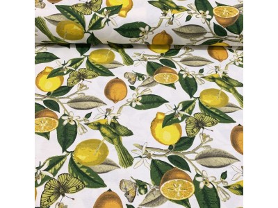150758 - 01 Хидрофобиран плат с лимони